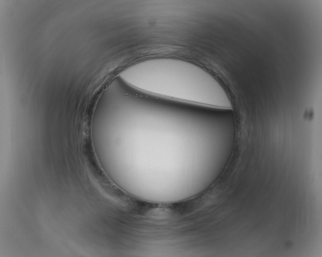 X0000110870119200906181019