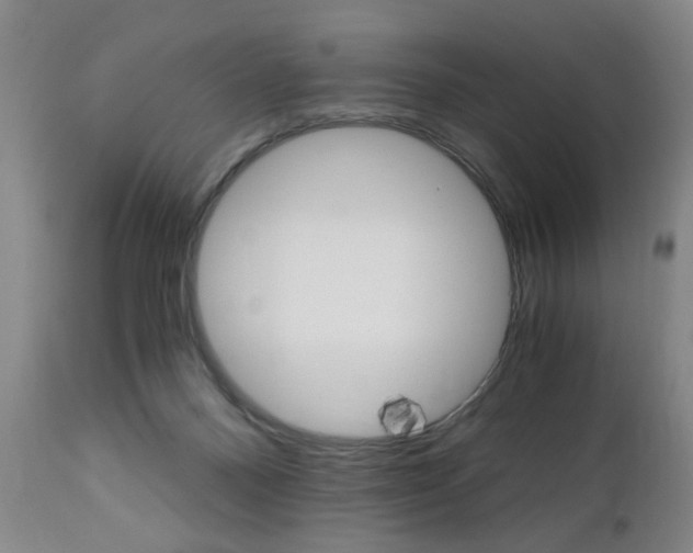 X0000110870120200906181019