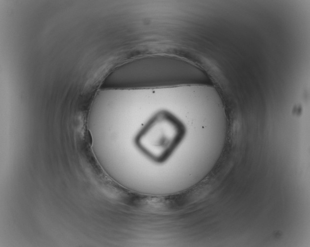 X0000110870121200906181019