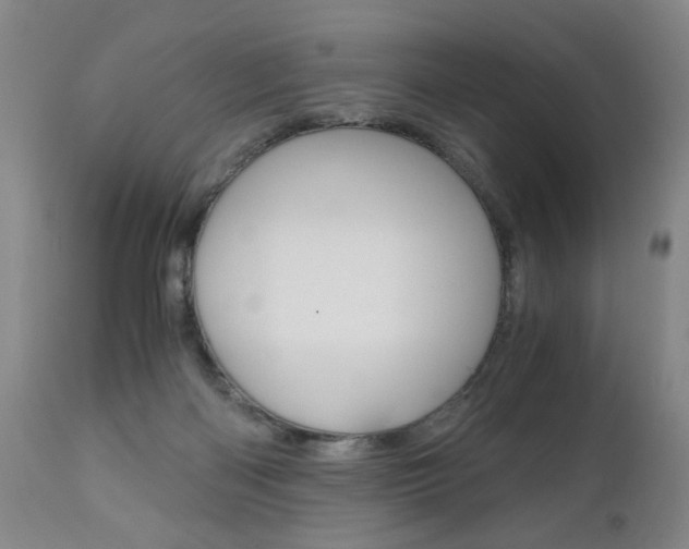 X0000110870122200906181019