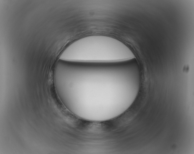 X0000110870123200906181019