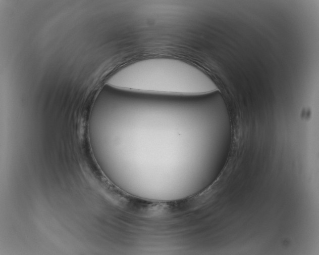 X0000110870124200906181019