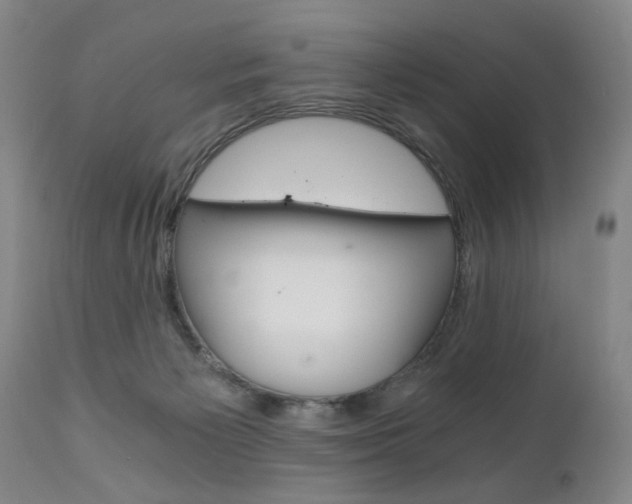 X0000110870125200906181019