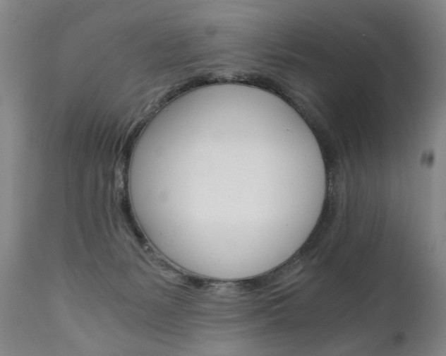 X0000110870127200906181019