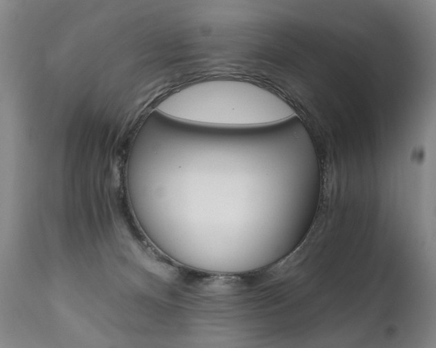 X0000110870128200906181019