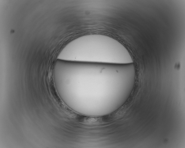 X0000110870129200906181019