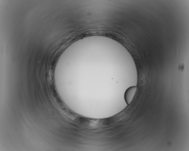 X0000110870130200906181019