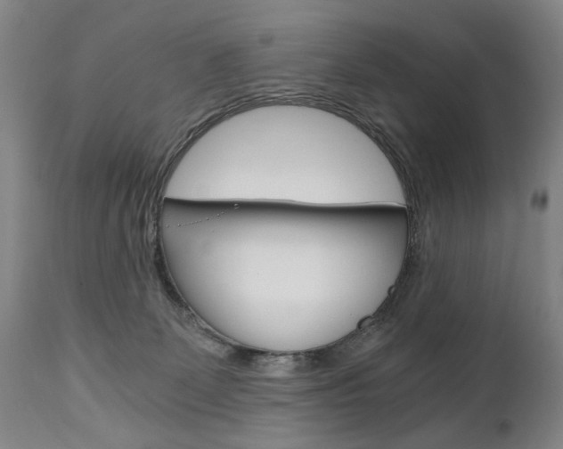 X0000110870131200906181019