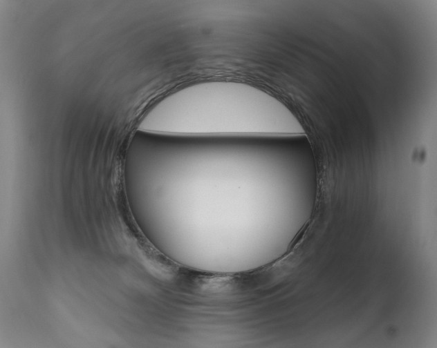 X0000110870132200906181019