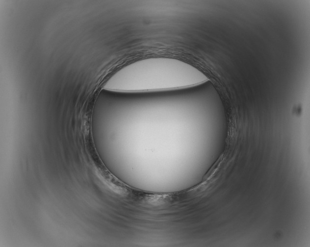 X0000110870136200906181019