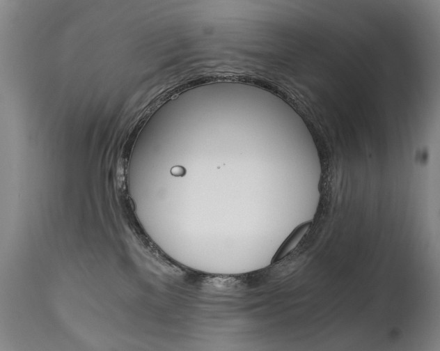 X0000110870137200906181019