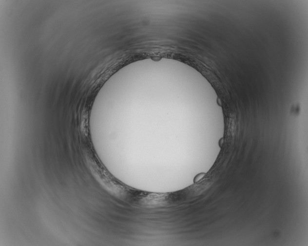 X0000110870138200906181019