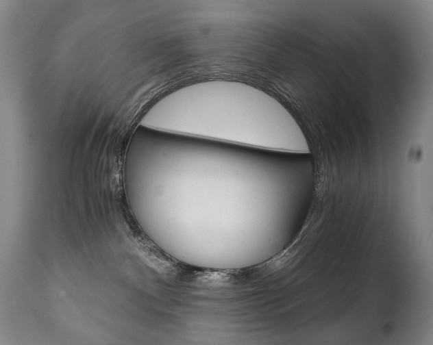 X0000110870140200906181019