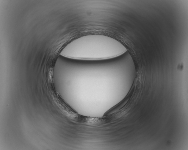 X0000110870141200906181019