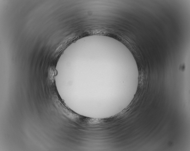 X0000110870142200906181019