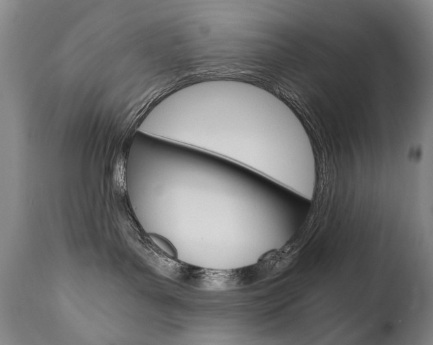 X0000110870143200906181019