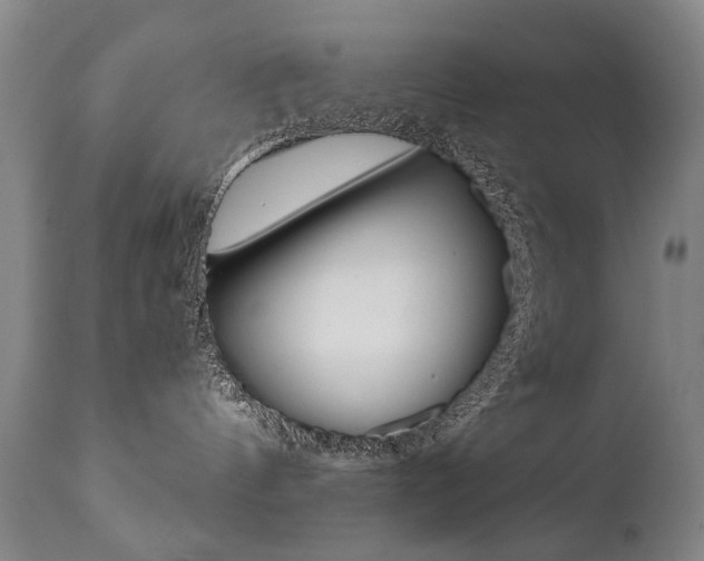 X0000110870144200906181019