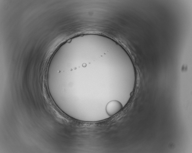 X0000110870145200906181018