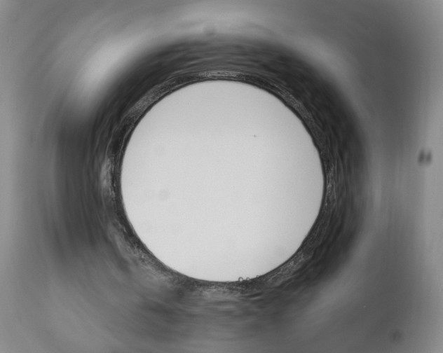 X0000110870146200906181018