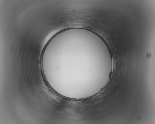 X0000110870147200906181018