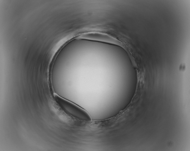 X0000110870148200906181018