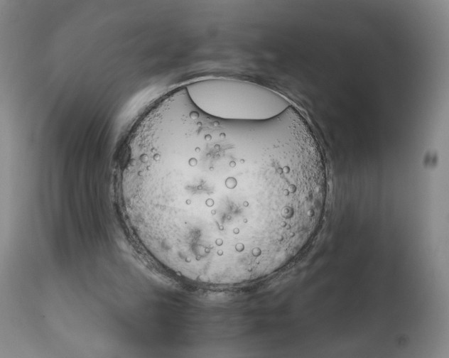 X0000110870149200906181018