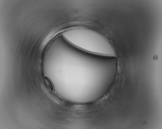 X0000110870150200906181018