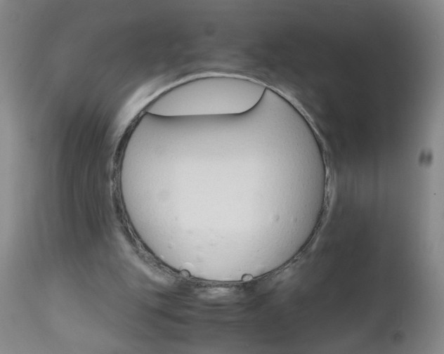 X0000110870151200906181018