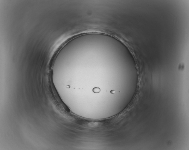 X0000110870152200906181018