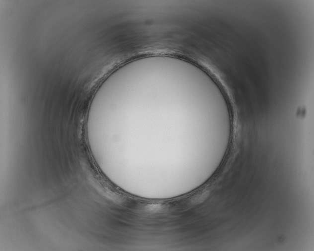 X0000110870153200906181018