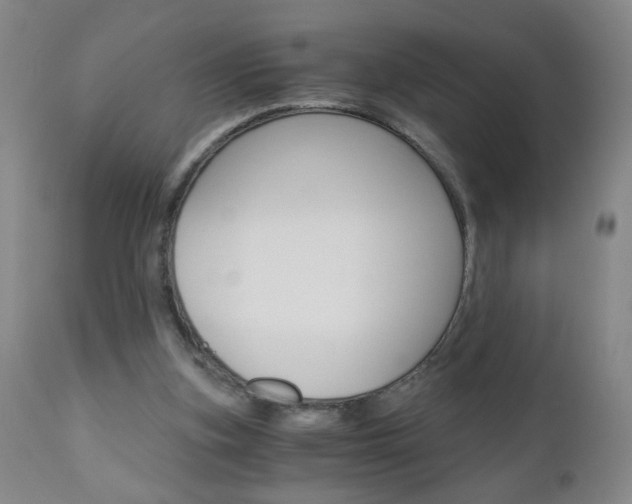 X0000110870155200906181018