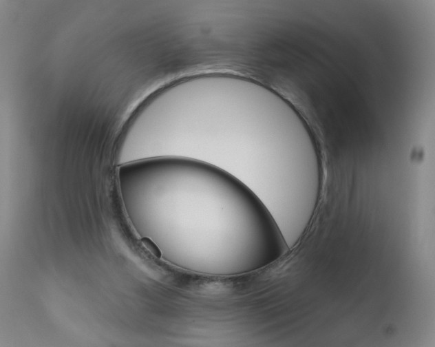 X0000110870156200906181018