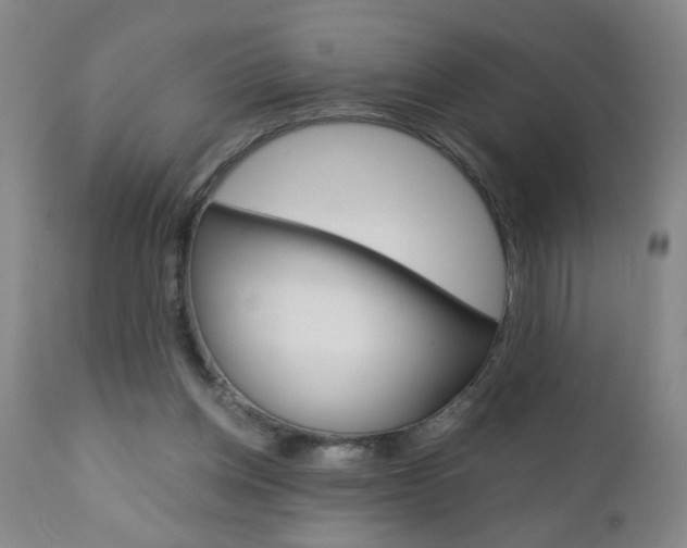 X0000110870158200906181018