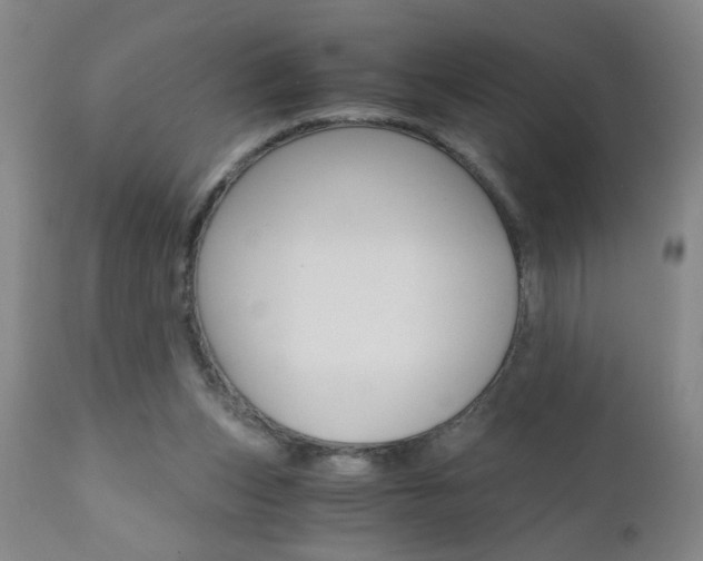 X0000110870159200906181018