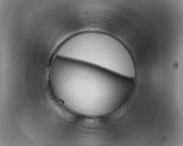 X0000110870160200906181018