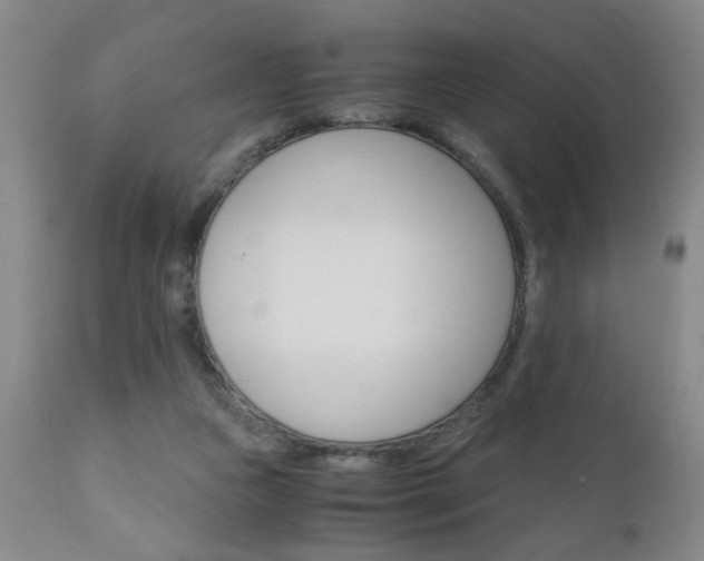 X0000110870161200906181018