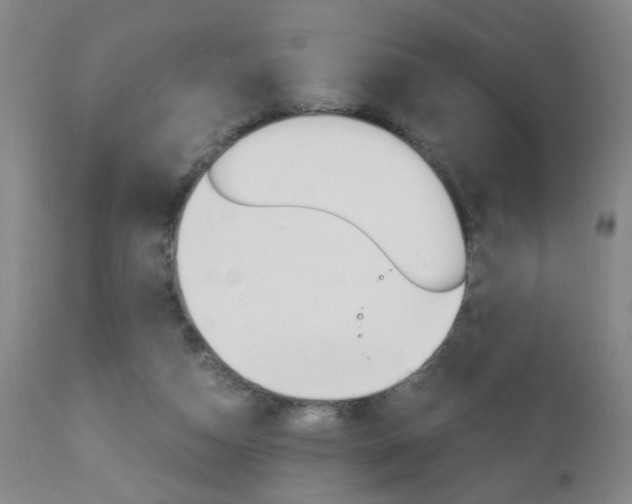 X0000110870162200906181018