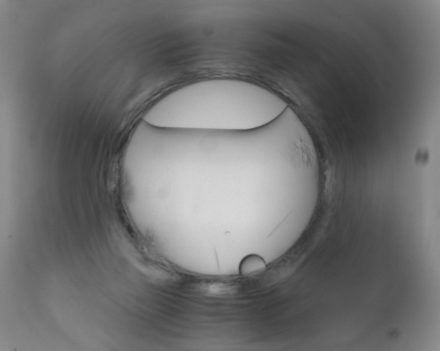 X0000110870165200906181018