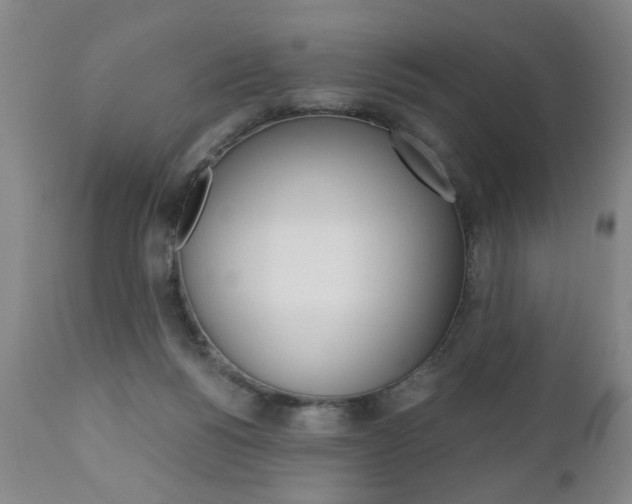 X0000110870168200906181018