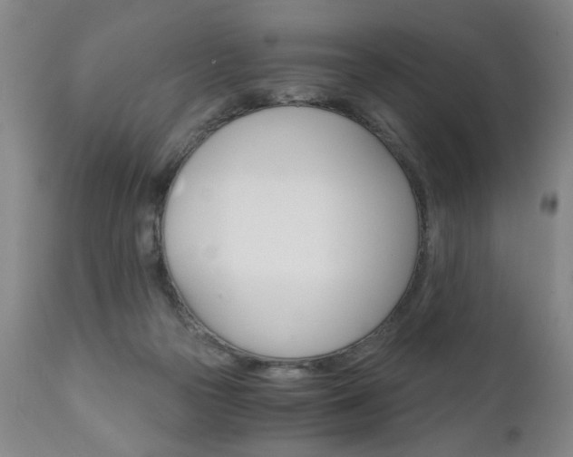 X0000110870169200906181018