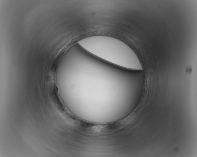 X0000110870172200906181018