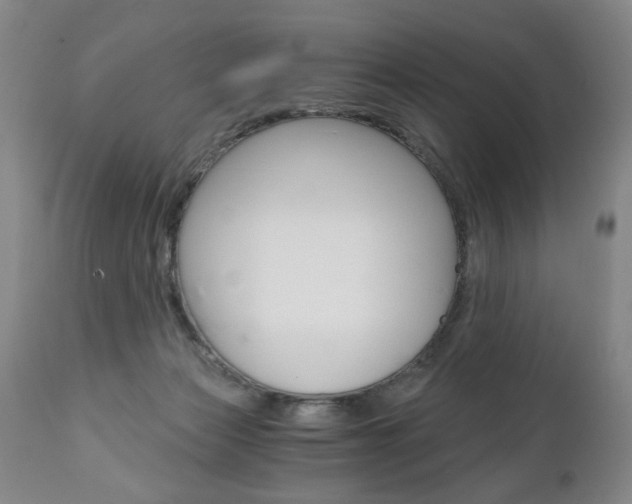 X0000110870173200906181018