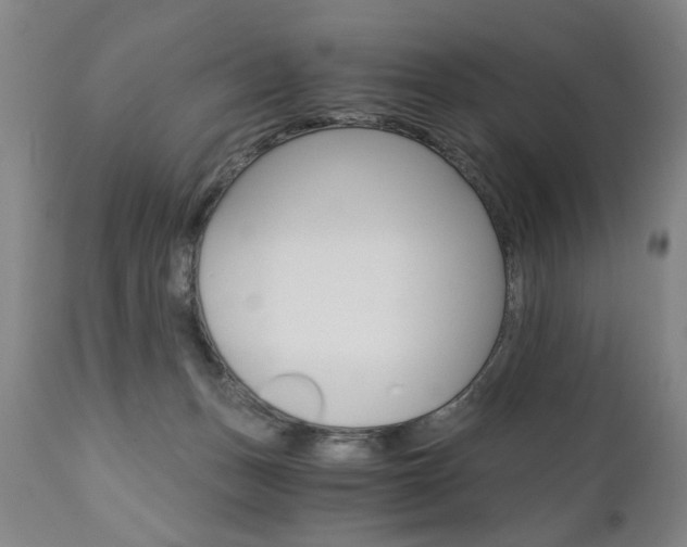 X0000110870175200906181018