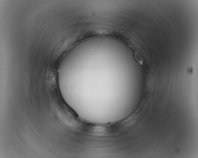 X0000110870176200906181018