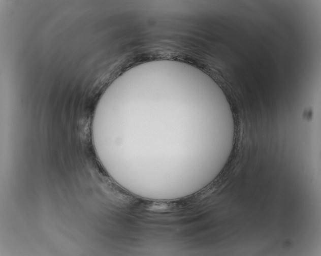 X0000110870177200906181018