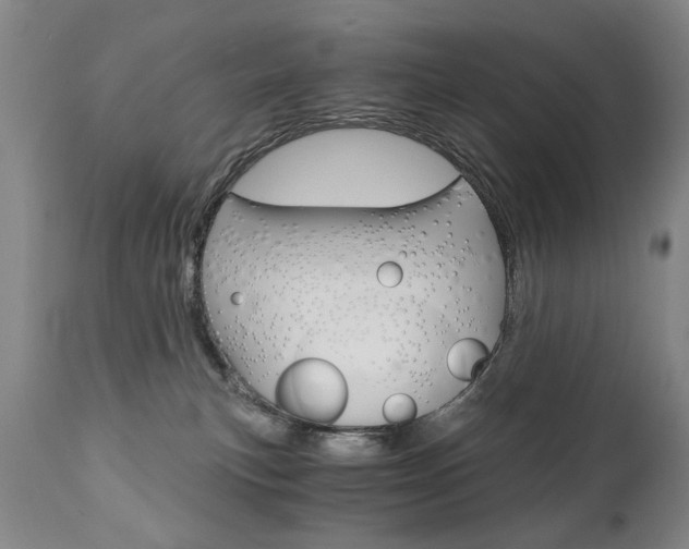 X0000110870183200906181018