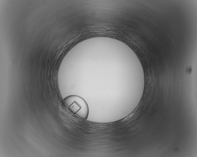 X0000110870184200906181018