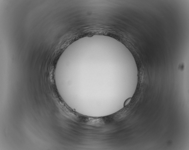 X0000110870185200906181018