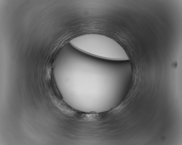 X0000110870188200906181018