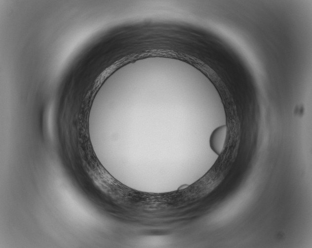 X0000110870189200906181018